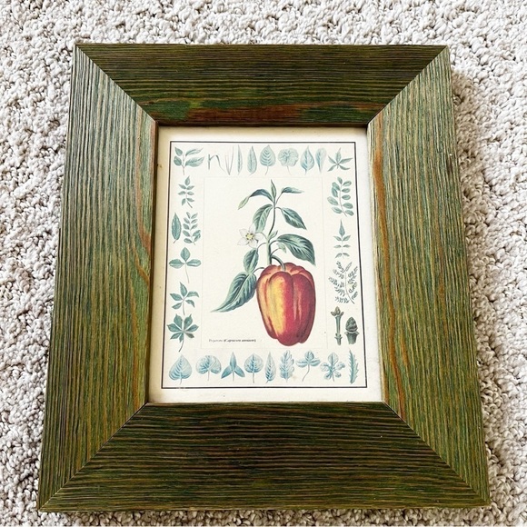 Giovanni Morello Framed Prints Artichoke Pepper Watercolor Paintings Set of 2 - Picture 2 of 12